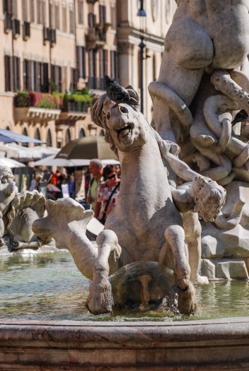 Piazza Navona Horse