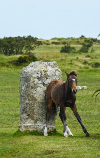 The Hurlers and Stowes Pound (44)